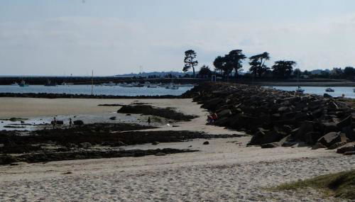 PORT LA FORET T2 avec jardin 300m de la plage - Foto 4