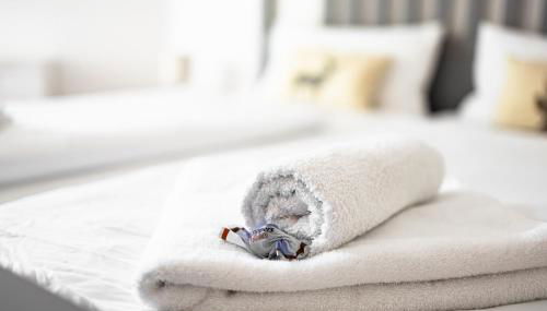 Ferienwohnung Panoramablick - super für deine Familie und die besten Aussicht in ganz Todtmoos - Foto 5, towels