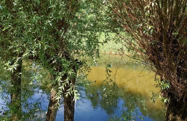 Domek nad Pisą - Foto 8