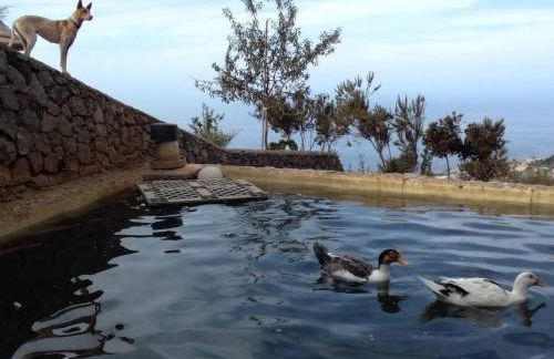 Holiday Home Finca Sunny Scape Rural by Interhome - Foto 38