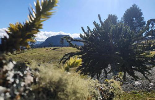 Pousada Flocos de Neve - Photo 25