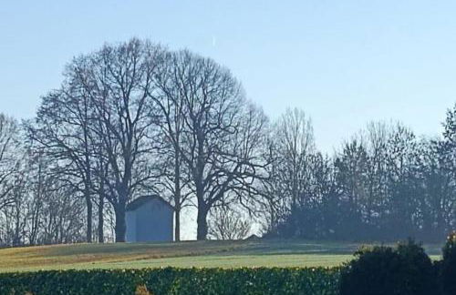 NEU! FeWo Maria Buch - Foto 5