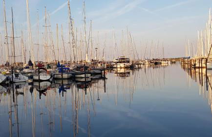 Seeadler-F5 - Foto 26