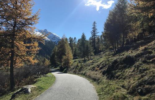 Appartamento Panoramic - Foto 19