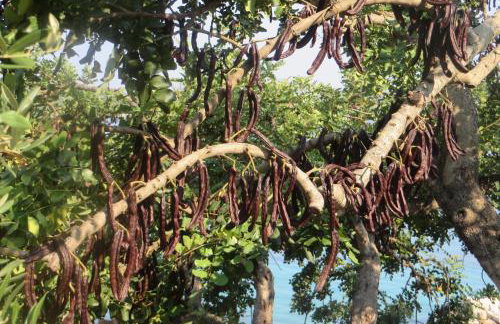 I&J Relaxing Beach Apartments - Foto 63