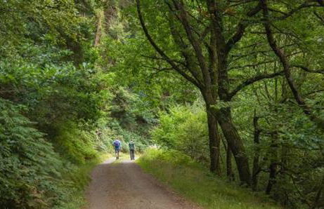 Cape Cottage - Photo 28