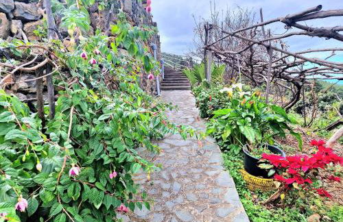 Casa Canaria Drago in Icod de los Vinos - Foto 13