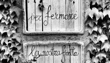 Nido di vetro - Foto 2