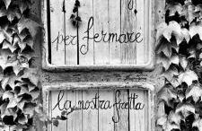 Nido di vetro - Foto 2