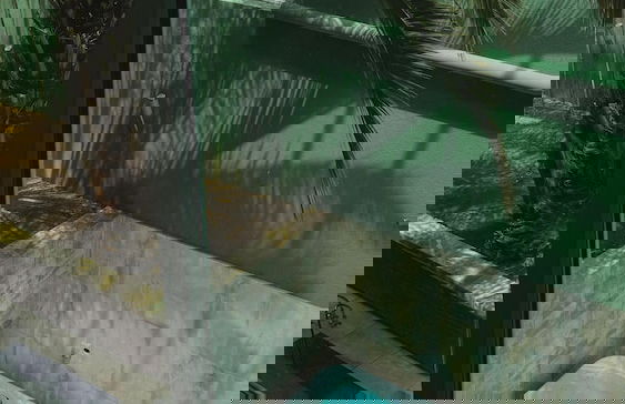 secret valley - Foto 27