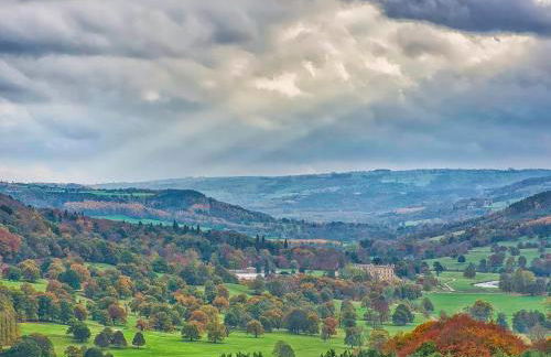 Pine Door - Photo 23