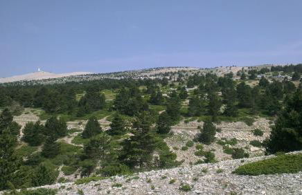 Lou pichoun studio au coeur d'un village provençal - Foto 30