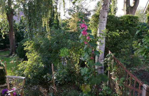 Alte Pastorei - Foto 11