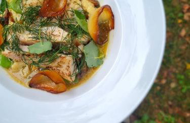 Maciejówka Borki 33 - Foto 63