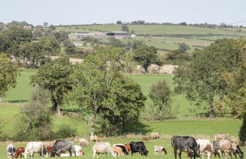 Wilstone Cottage - Foto 43