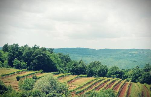 Guesthouse Marija - Foto 35