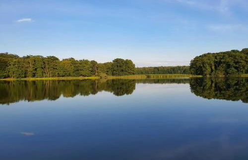 Ferienhaus im Van der Valk Resort in Linstow - Foto 29