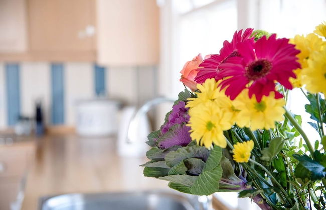 Fairhaven, Thorpeness - Foto 34