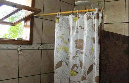 Jardim das orquídeas - Foto 9