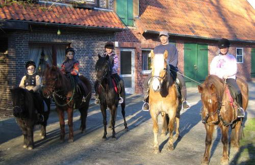 Ferienhof Drewes Ranch - Foto 13