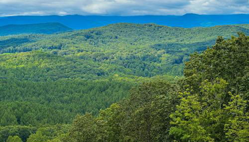 Mountain Top Retreat - Photo 1