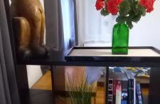 REF 01 studio BAGNEUX 5 minutes à pied métro BARBARA ligne 4 - Foto 1