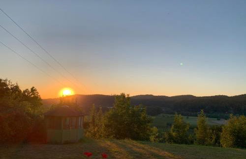 Einzigartiger Panoramablick, Bodensee und Messe in der Nähe - Foto 1