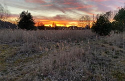 Ferienhaus am Seegrund - Foto 23