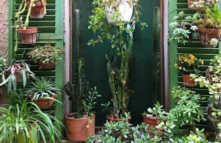 La Calade 1 bedroom Studio - Biot Village - Foto 15