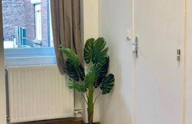 Maison 3 chambres - 600m Métro Marbrerie - Lille - Foto 9