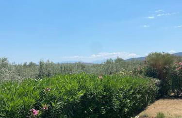 Georges Villa Galaxidi, family, pool and garden - Foto 37