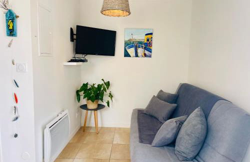 Résidence Clos des Aigrettes -Appartement de charme et confort à 30m du Port de La Cotinière - Foto 64