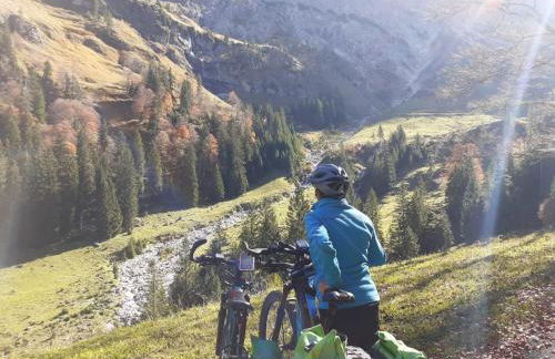 Ponyhof Schöllang - Foto 30