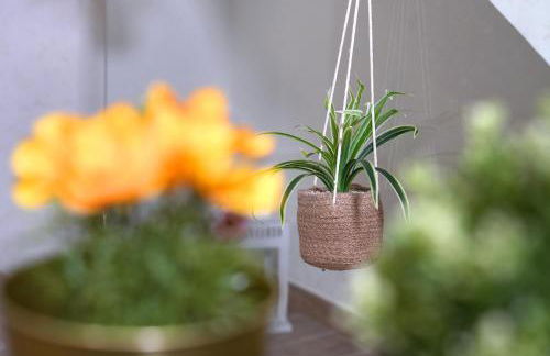 Home Civico 19 - Foto 7