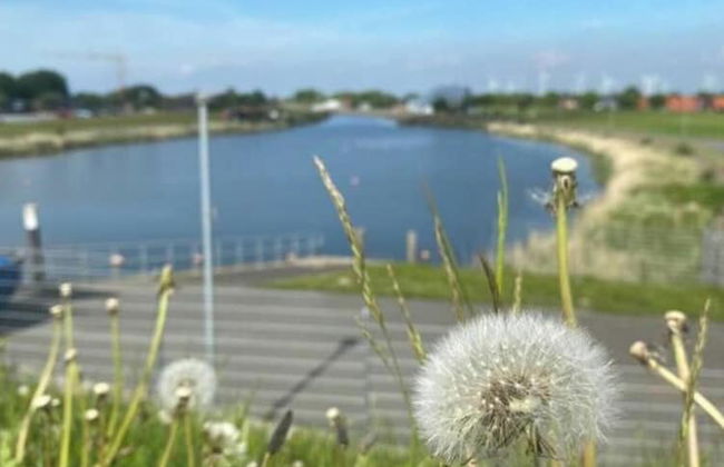 Home Port Modern Retreat - Foto 9