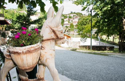 mirmidones Anesis - Foto 48