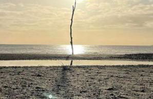 Crown Cove - Foto 14