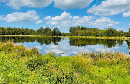 Kleine Burg Ovelgönne - Foto 40