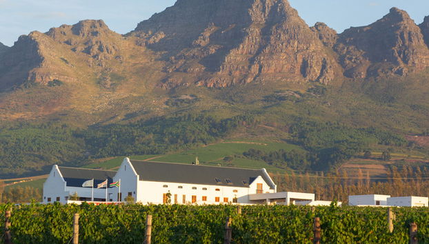 Tour de un día entero: Lo más destacado de la Ciudad del Cabo - Foto 4