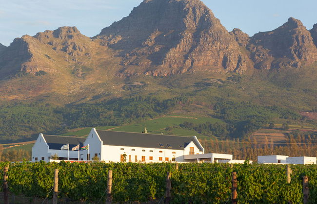 Tour de un día entero: Lo más destacado de la Ciudad del Cabo - Foto 4