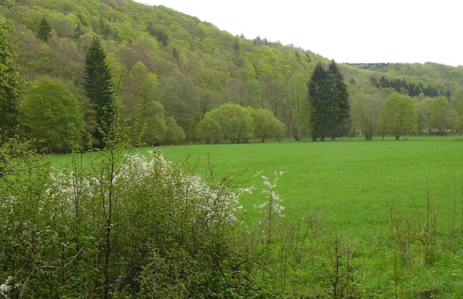 Family Getaway in Dankerode - Foto 16