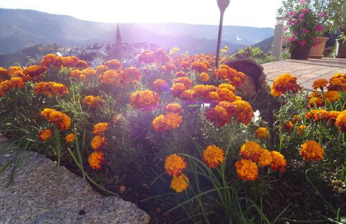 Am Keschtewaeldele **** - Foto 35