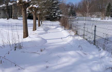 Historische Ferienwohnung - Foto 29