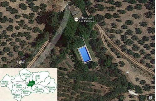 El Molino de las Palomas - Foto 75