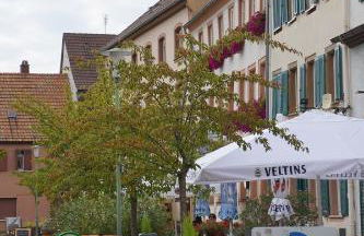 FeWo Apland - Foto 25