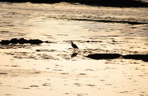 Waterloo Sunset - Foto 44