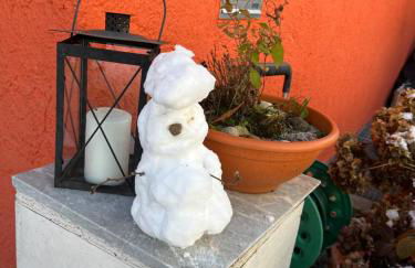 Waldhaus Max - Foto 24