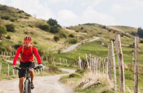 The Garden Studio - Foto 21