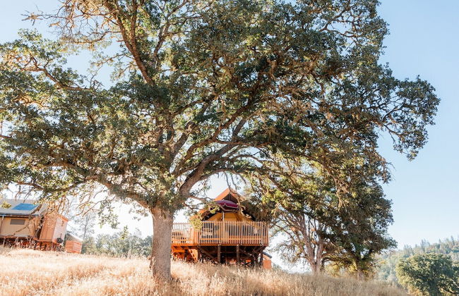 Huttopia Wine Country - Foto 20