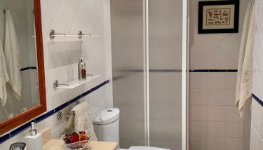 El Pino de Cerler - Foto 5, Shower